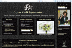 Сайт студии Бермяковых